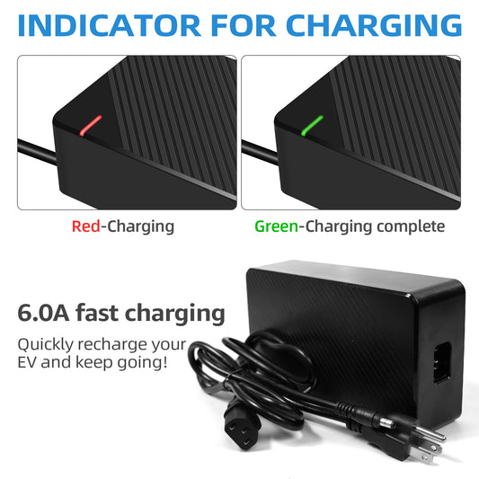 48V 6A E-Scooter Fast Charger(1 Plugs) for RZ800, RZ1000